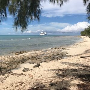 Meet your Posher, Dawn